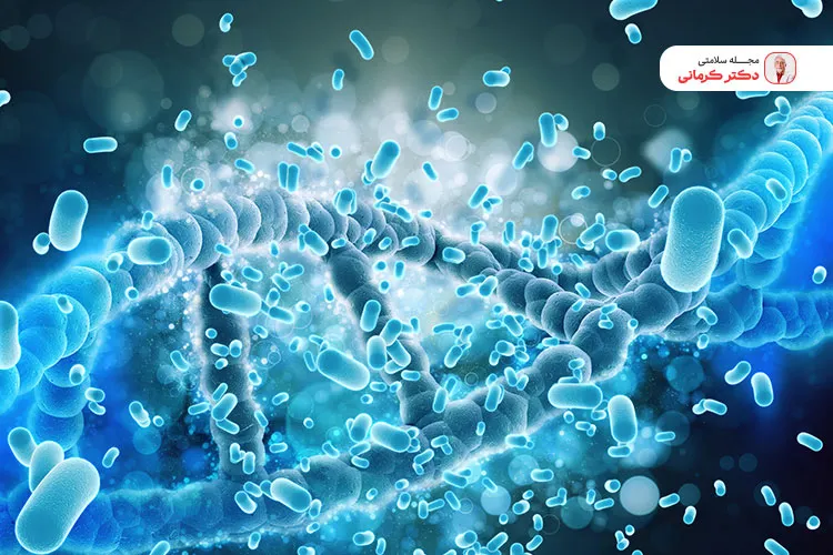 پروبیوتیک چیست؟