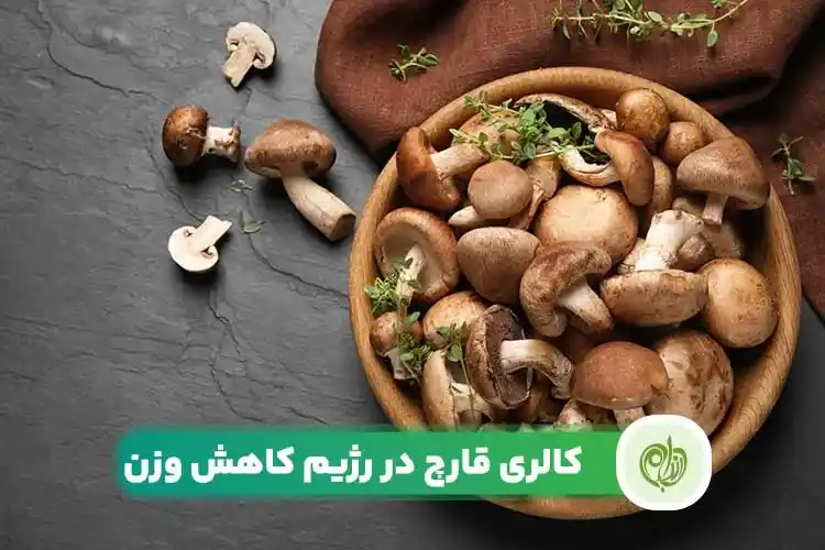 مقاله کالری قارچ