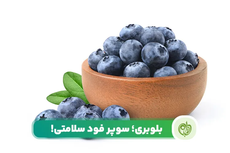 مقاله آشنایی با خواص بی نظیر بلوبری