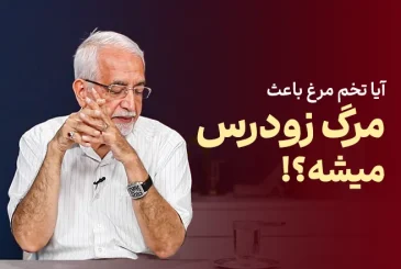 مقاله آیا تخم مرغ باعث مرگ زودرس می شه؟