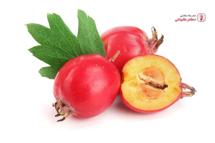 مصرف زالزالک به کاهش کلسترول بد خون کمک میکند.