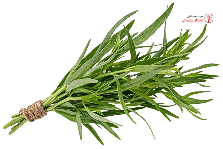 ترخون به تقویت سیستم ایمنی بدن به ویژه کودکان کمک می‌کند.