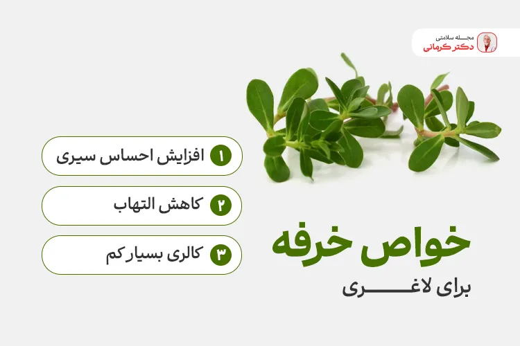 فواید خرفه برای لاغری