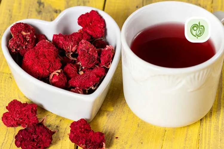 مقاله گلنار فارسی چیست؟