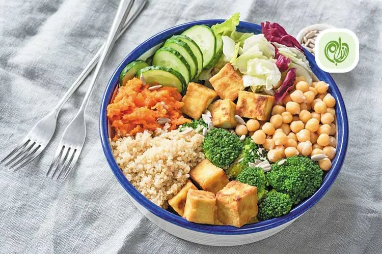 مقاله فهرست غذاهای رژیمی بدون نان و برنج