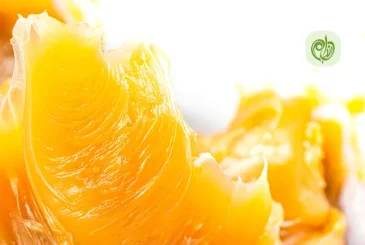 مقاله فواید روغن دنبه برای سلامتی