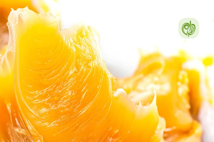 فواید روغن دنبه برای سلامتی