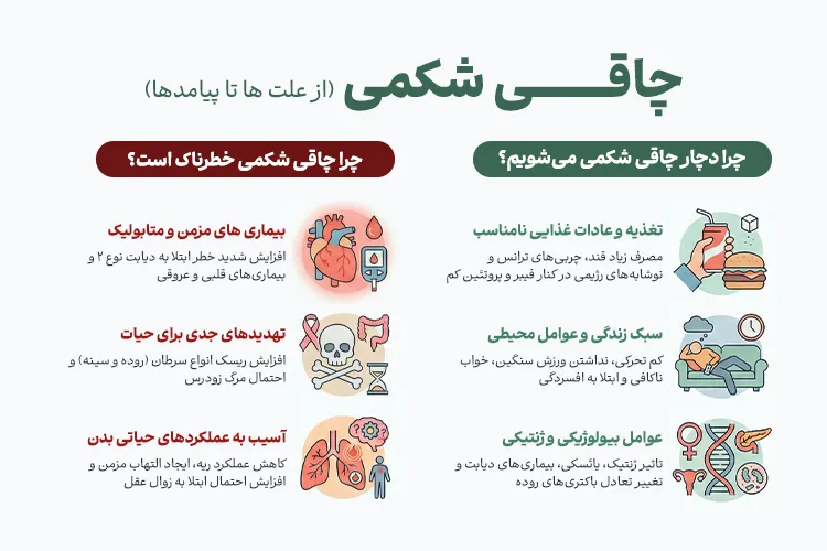 مقصر اصلی چاقی شکم! cause abdominal obesity 11 علت چاقی شکمی