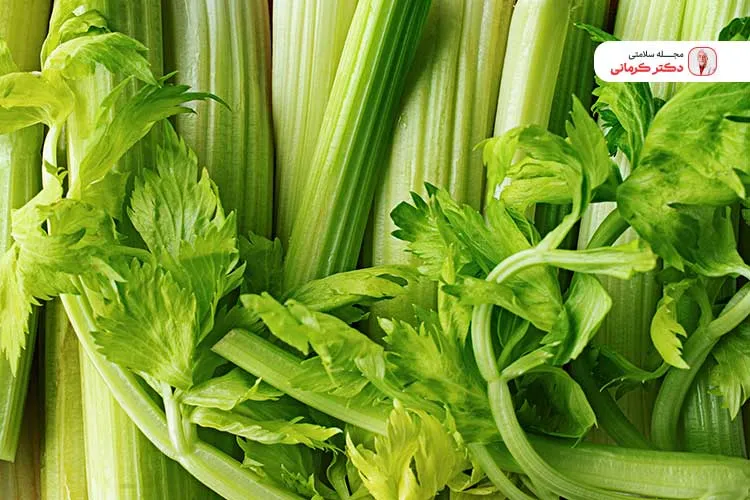 مصرف خود کرفس در یک برنامه غذایی استاندارد به کاهش وزن کمک می‌کند.