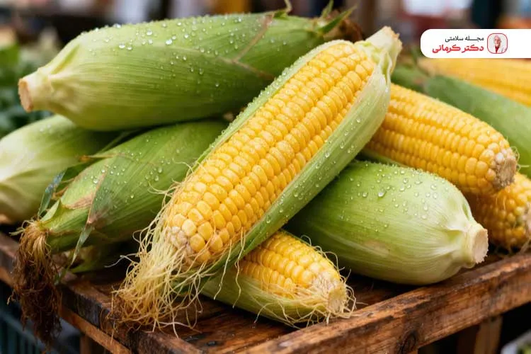 روغن ذرت: دوست یا دشمن؟ properties corn oil 12 روغن ذرت به دلیل فرآوری شدید و غنی بودن از چربیهای امگا 6 جزو چربی های سالم نیست.