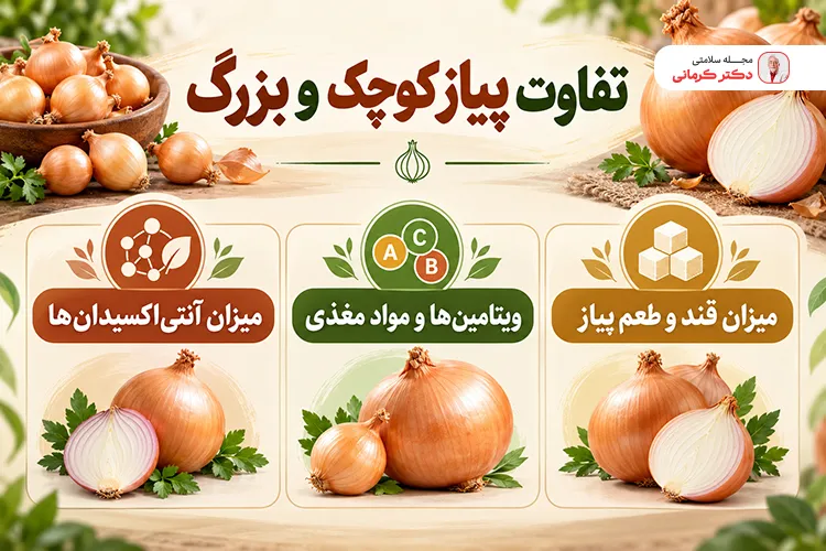 تفاوت پیاز کوچک و بزرگ از نظر ارزش غذایی